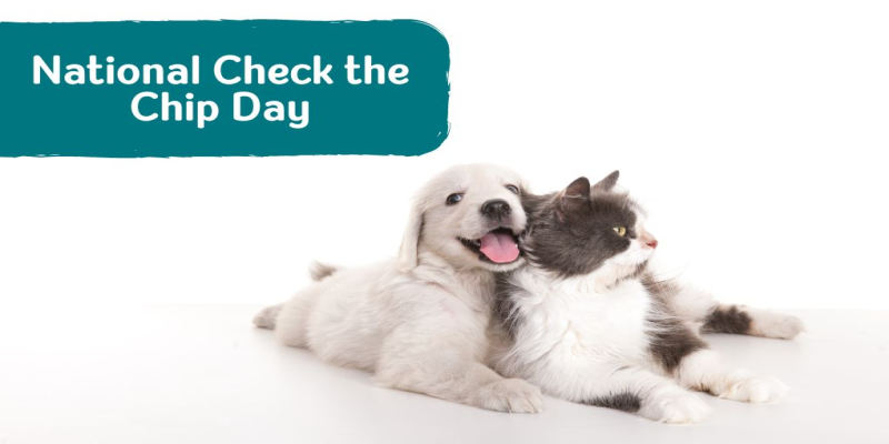 National Check the Chip Day: Ensuring Your Pet's Safety with Naturo 